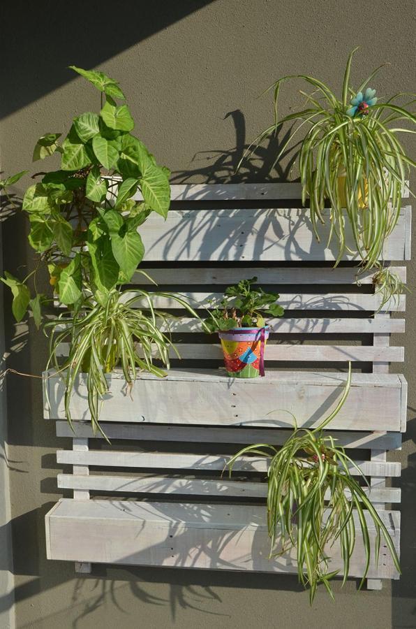 Apartamento Monoambiente La Pitota Paraná Exterior foto
